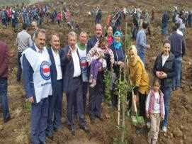 Hatay Bayındır Memur-sen’den ‘Mehmet Akif İnan Hatıra Ormanı İçin Fidan Dikti.