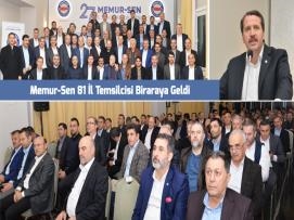 Memur-Sen 81 İl Temsilcisi Biraraya Geldi